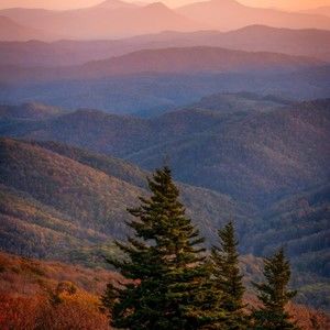 Meet your Posher, Alannah